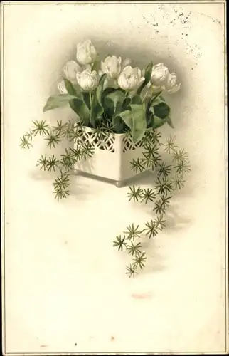 Ak Weiße Tulpen, Blumenkasten