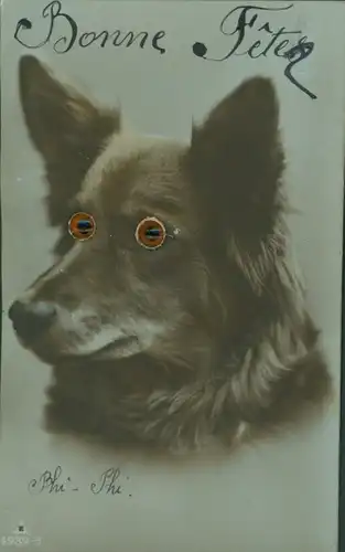 Wackelaugen Ak Hund-Portrait, Tier-Portrait