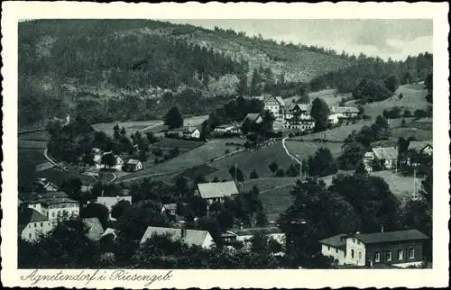 Ak Jagniątków Agnetendorf Hirschberg Riesengebirge Schlesien, Totalansicht