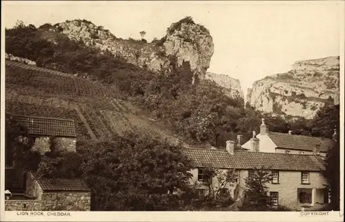 Ak Cheddar Somerset England, Lion Rock, Felsformation