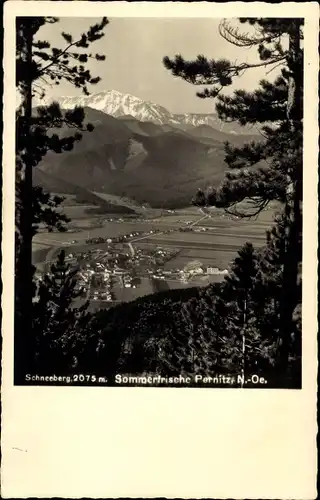 Ak Pernitz Niederösterreich, Schneeberg, Panorama