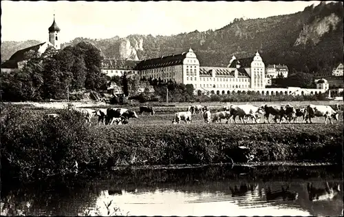 Ak Beuron an der Donau Württemberg, Erzabtei, Kloster