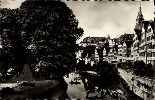 Ak Tübingen am Neckar, Teilansicht mit Platanenallee