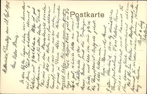 Ak Mittweida in Sachsen, Totalansicht