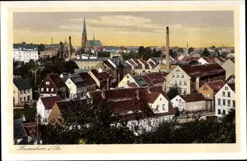 Ak Hainichen in Sachsen, Panoramablick auf die Stadt