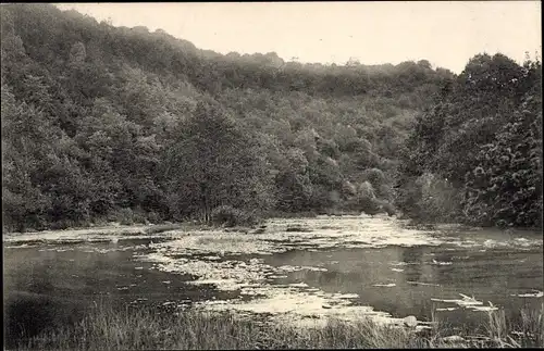 Ak La Roche en Ardenne Wallonien Luxemburg, La Vallée de l'Ourthe, Le confluent des deux Ourthes