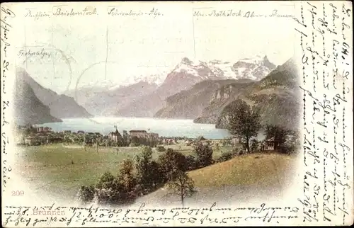 Ak Brunnen Kt Schwyz, Panorama