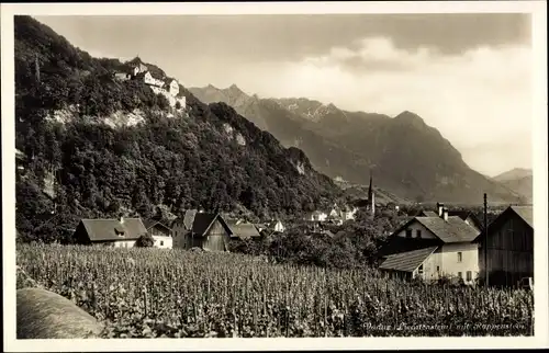 Ak Vaduz Liechtenstein, Panorama