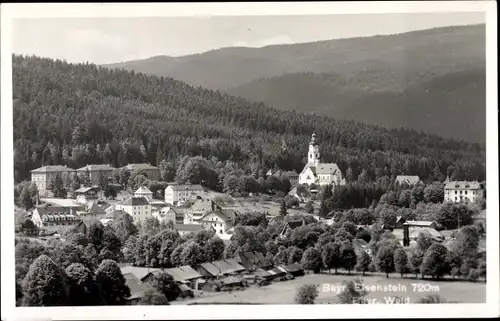 Ak Bayerisch Eisenstein im Bayrischen Wald Niederbayern, Panorama