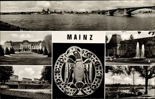 Ak Mainz am Rhein, Panorama, Universitätskliniken, Stadtpark mit Gewächshäusern, Universität