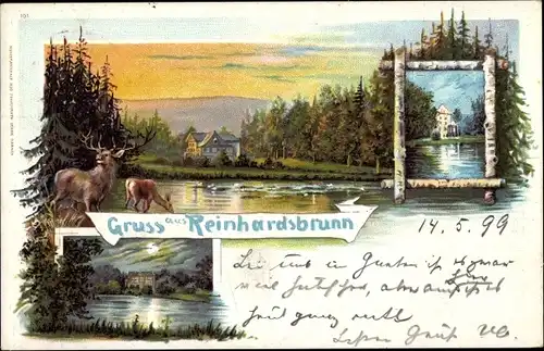 Litho Reinhardsbrunn Friedrichroda im Thüringer Wald, Waldpartie, Rehe, Dämmerung