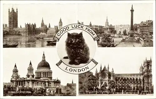 Ak London City, Houses of Parliament, Trafalgar Square, St. Paul's Cathedral, Westminster Abbey, Cat