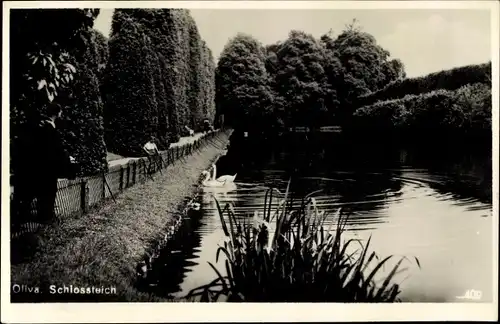 Ak Oliva Gdańsk Danzig, Schlossteich