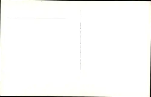 Ak Elche Valencia Spanien, Palmera del Cura