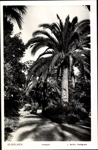 Ak Málaga Andalusien Spanien, Parque, Palmen