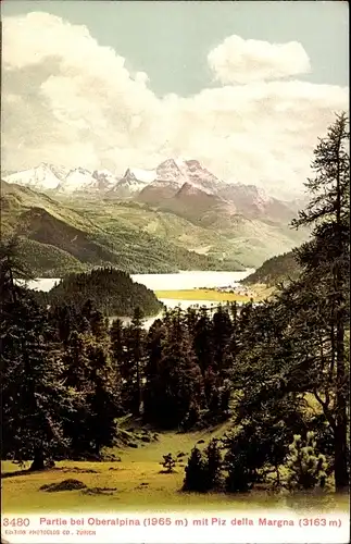 Ak Sankt Moritz Kanton Graubünden, Partie bei Oberalpina mit Piz della Margna