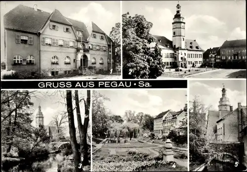 Ak Pegau in Sachsen, Fachschule, Markt, Rathaus, Park, Am Mühlgraben