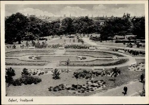 Ak Erfurt in Thüringen, Stadtpark