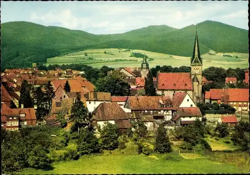 Ak Herzberg am Harz, Panorama