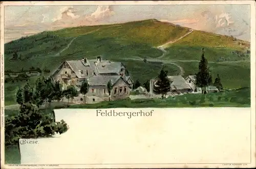 Künstler Litho Biese, C., Feldberg im Schwarzwald Baden Württemberg, Haus Feldbergerhof