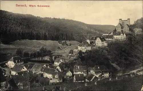 Ak Berneck Altensteig im Schwarzwald, Teilansicht