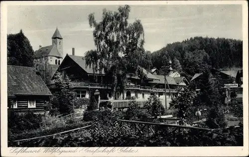 Ak Międzygórze Wölfelsgrund Schlesien, Ortsansicht, Wohnhäuser