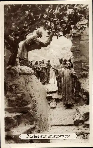 Künstler Ak Mastroianni, D., Zachee sur un sycomore
