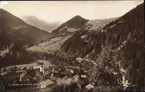 Ak Le Sepey Kanton Waadt, Le Sepey et la Dent du Midi, Panorama