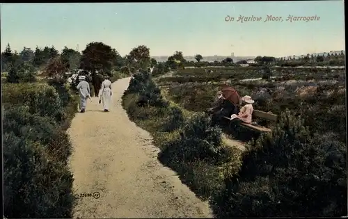 Ak Harrogate Yorkshire England, On Harlow Moor, Spaziergänger, Park