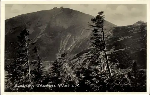 Ak Malá Úpa Kleinaupa Riesengebirge Region Königgrätz, Schneekoppe