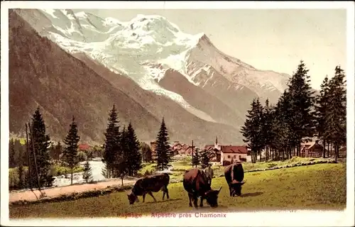 Ak Chamonix Mont Blanc Haute Savoie, Paysage, Alpestre