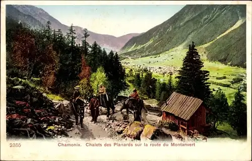 Ak Chamonix Mont Blanc Haute Savoie, Chalets des Planards sur la route du Montanvert