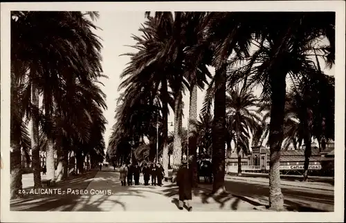 Ak Alicante Valencia Spanien, Paseo Gomis, Palmen