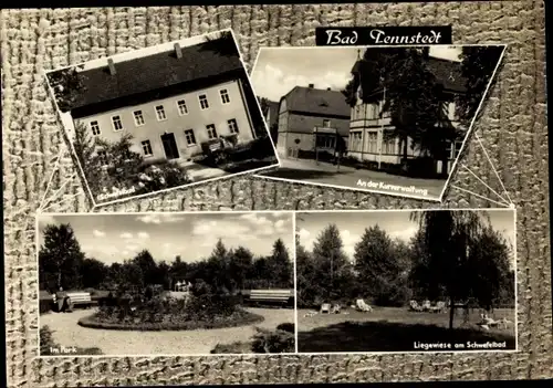 Passepartout Ak Bad Tennstedt in Thüringen, im Park, Liegewiese im Schwimmbad, an der Kurverwaltung