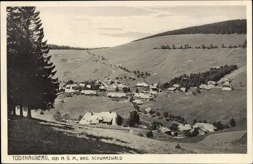 Ak Todtnauberg Todtnau im Schwarzwald, Panorama