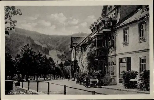 Ak Leutenberg in Thüringen, Am Limbach