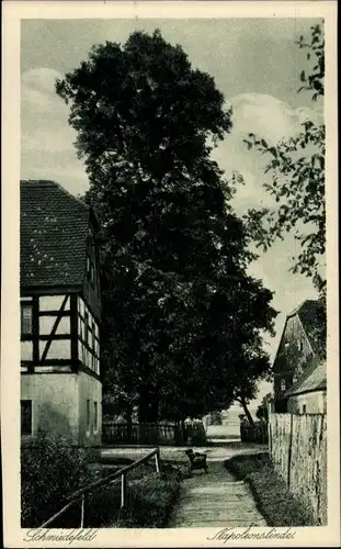 Ak Schmiedefeld Großharthau in Sachsen, Napoleonslinde