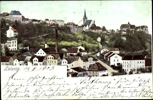 Ak Leisnig an der Freiberger Mulde Sachsen, Blick über die Dächer der Stadt zur Kirche