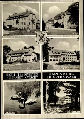 Wappen Ak Karlsburg in Vorpommern, Institut für Diabetes Gerhardt Katsch