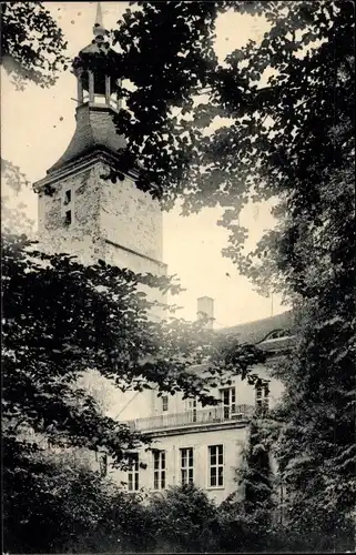 Ak Lubsko Sommerfeld in der Niederlausitz Ostbrandenburg, Schloss, Rückansicht