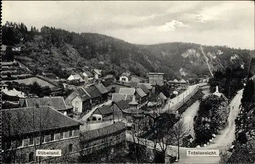 Ak Rübeland Oberharz am Brocken, Totalansicht der Ortschaft, Fluss, Häuser
