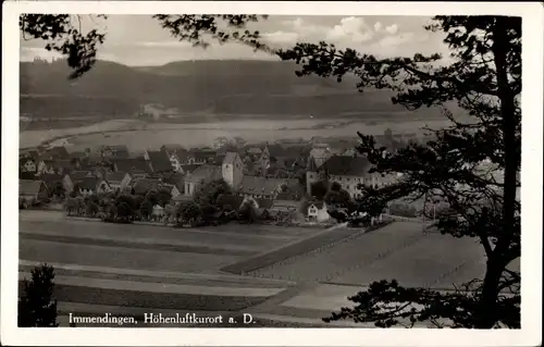 Ak Immendingen an der Donau Baden, Gesamtansicht