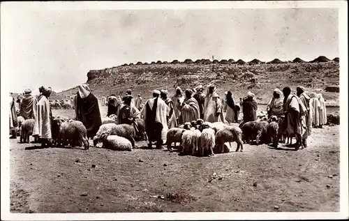 Ak Marokko, Sheep Market in the Atlas