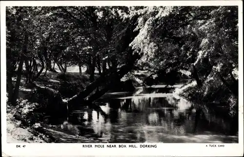 Ak Dorking Surrey England, River Mole near Box Hill