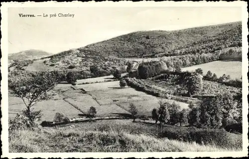 Ak Vierves Namur Wallonien, Le pre Charley, Panorama