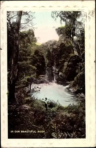 Ak Neuseeland New Zealand, In Our Beautiful Bush, Fluss