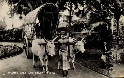 Ak Ceylon Sri Lanka, Bullock Cart and Driver