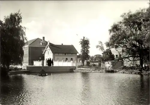 Ak Teterow in Mecklenburg, Am Mühlenteich