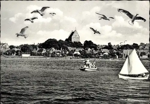 Ak Ostseebad Heiligenhafen in Holstein, Panorama, Möwen, Boote