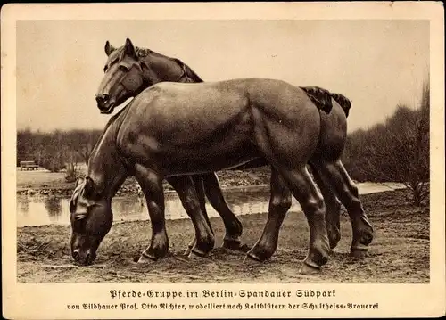 Ak Berlin Spandau, Südpark, Pferdegruppe v. Bildhauer Otto Richter, Kaltblüter, Schultheiss Brauerei